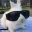 rio's Avatar